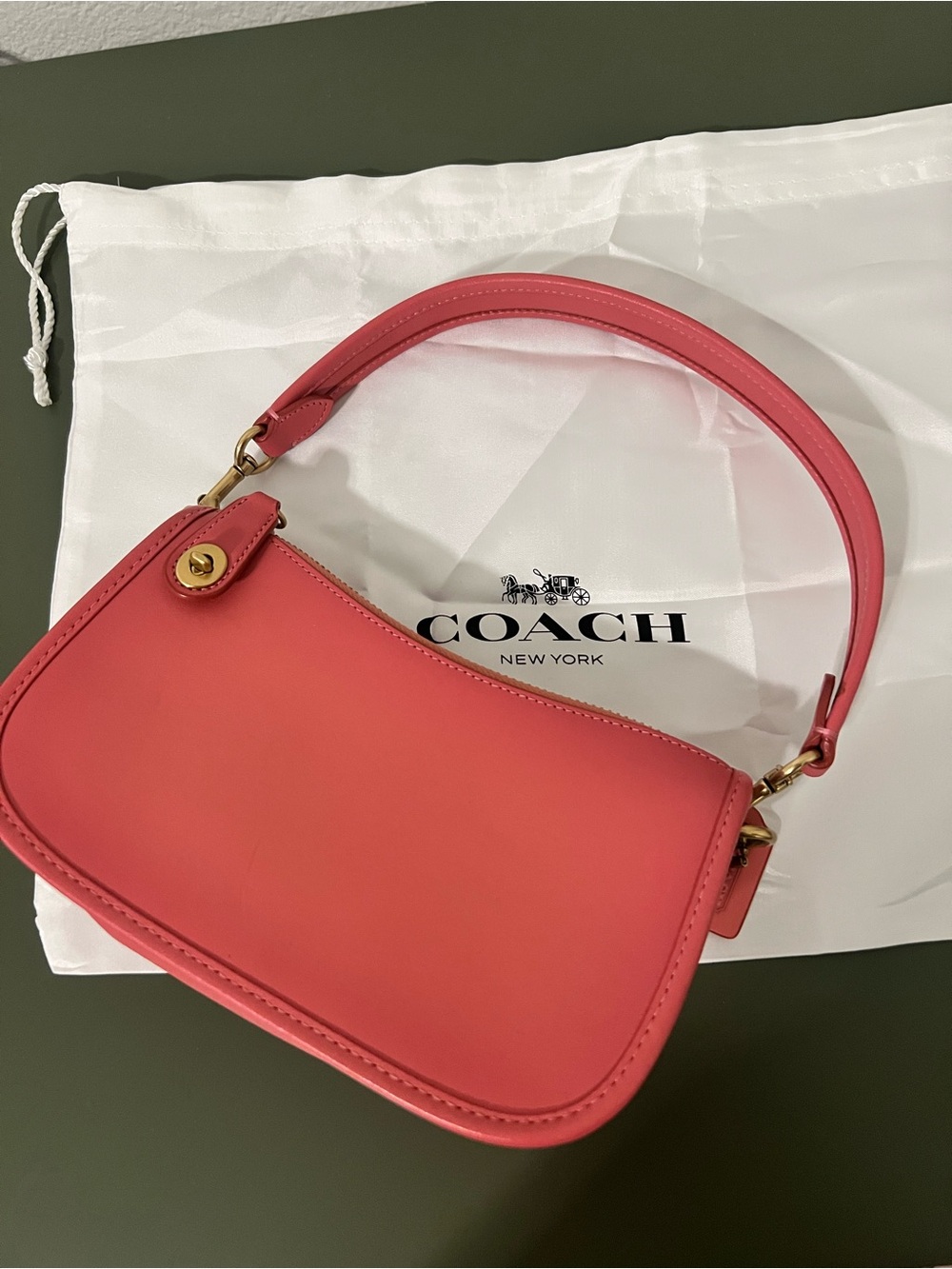 RARE Coach TAFFY Leather Swinger Shoulder Bag with Gold Hardware